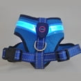thumbnail image 6 of LED Rechargeable Pet Harness High Brightness, Wear-Resistant Mesh Fabric LED Vest Harness - Keep Your Pet Visible and Safe During Outdoor Activities, 6 of 8