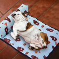 thumbnail image 5 of Cooling Mat For Dog Cat Pet Self Cooling Summer Hot Weather Bed Pad Small Large, 5 of 5