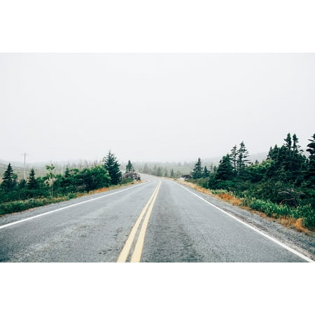- LAMINATED POSTER Fog Plants Trees Clouds Lane Sky Path Road Poster Print 24 x 36