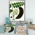 thumbnail image 3 of Designart 'Ancient Plant Life IX' Traditional Framed Art Print, 3 of 4