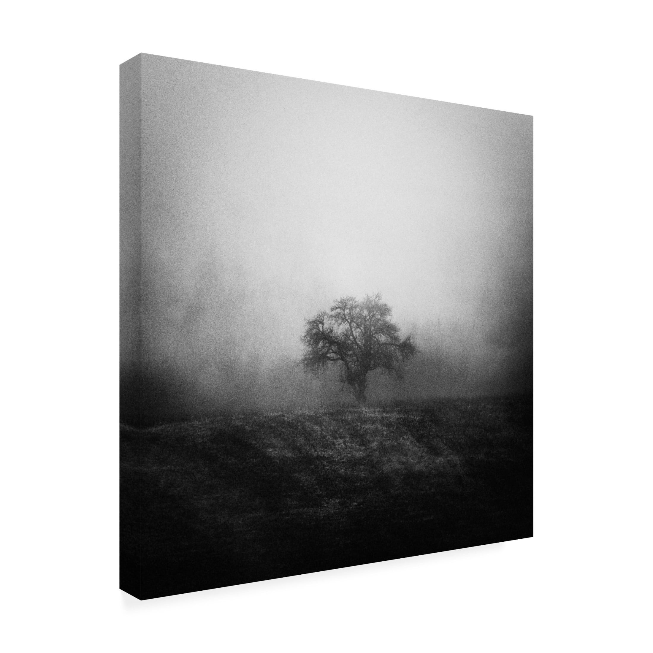 Canvas Wall Art - Karol Vaan 'Alone' Wall Art for Living Room, Bedroom, or Office Décor by Trademark Fine Art - 18 x 18 Inches