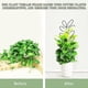 thumbnail image 5 of 2 Enrejados de Metal para Plantas de Interior, Soporte para Exteriores para Plantas Trepadoras en Macetas, Perfectos para Enredaderas, 5 of 5