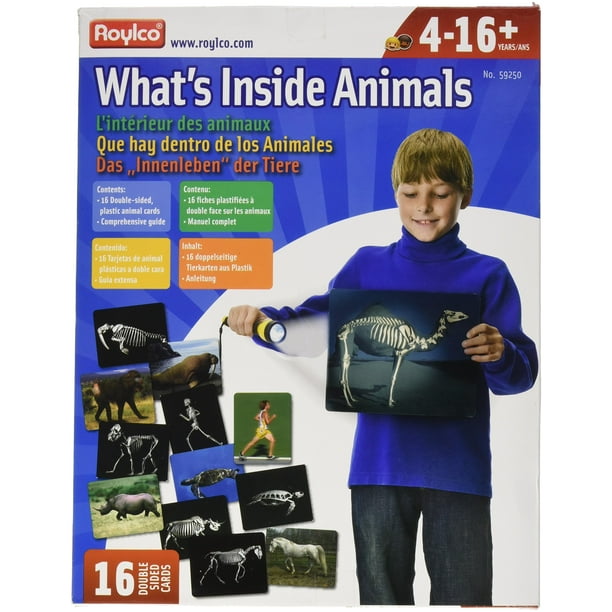 ¿Qué hay dentro de las tarjetas didácticas de animales?