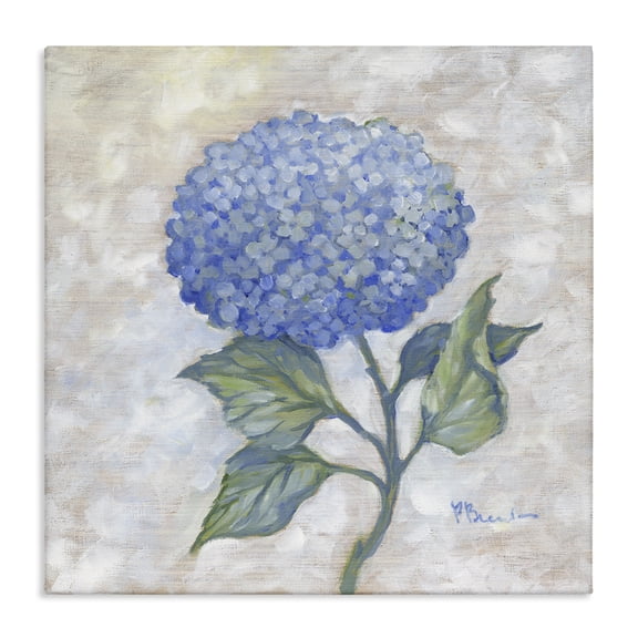 Stupell Industries Shabby Chic Traditional Blue Hydrangea Bloom Canvas Art, 17 x 17, by Paul Brent