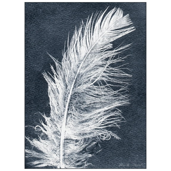Feather I Dark Washable Art Area Rug size 8'x10', Power-loomed, Heavenly Softness with Non-Slipping Backing