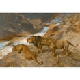 thumbnail image 3 of Arthur Wardle 18x14 Black Modern Framed Museum Art Print Titled - Lions by a Stream, 3 of 5