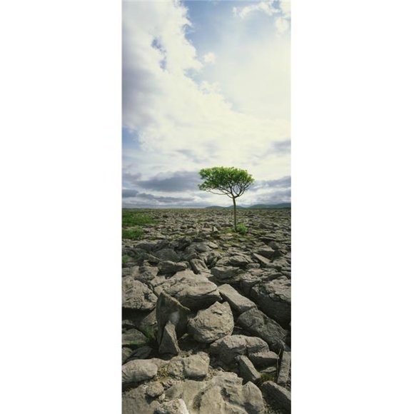 Posterazzi DPI1803467 The Burren On Kinvara Side Co Clare Ireland Poster Print by The Irish Image Collection, 12 x 30