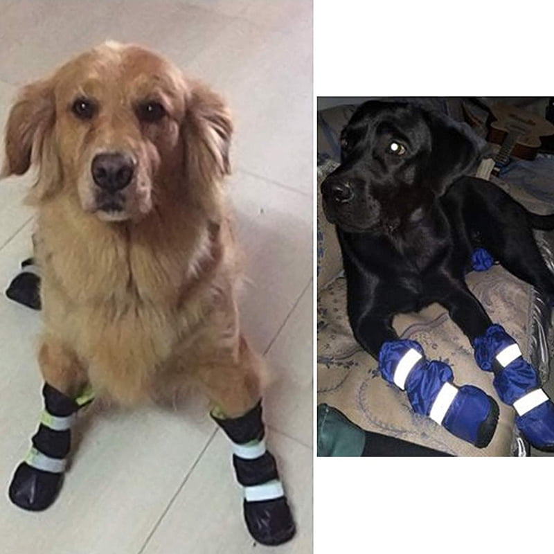 xs dog socks