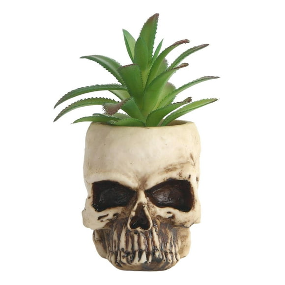 Skull Planter Skull Planter