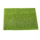 thumbnail image 1 of Jardín de hadas en miniatura Hada realista Jardín de césped artificial Casa de muñecas Jardinería DIY Moss Scienceny JJ17317-01, 1 of 6
