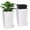 White, variant on Set of 2 30-Inch Tall Rectangular Planters – Large Modern Plant Pots with Drainage Holes, Water Level Monitor, Inner Bucket & Wheels for Indoor Outdoor Use, Patio, Porch, Living Room, Office – Black