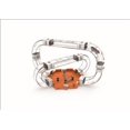 thumbnail image 2 of HEXBUG® Nano V2 Infinity Loop - Item Ships in Assorted Styles, 2 of 3
