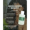 thumbnail image 2 of RUBY VIBE CO Purifying Shampoo, Scalp Care Shampoo with Heartleaf, Tea Tree and Neem 4.56 fl oz, 2 of 9
