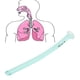 thumbnail image 5 of Vía aérea para el cuidado de la salud, conducto faríngeo nasal desechable Vía aérea nasofaríngea Vía aérea desechable impulsada por el rendimiento, 5 of 8