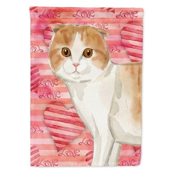 Carolines Treasures CK3053CHF Scottish Fold Cat Love Flag Canvas House Size  Large multicolor