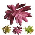 thumbnail image 2 of 10PCS Artificial Succulents Decorative Mini Lifelike Simulated Plants Home Decor, 2 of 9