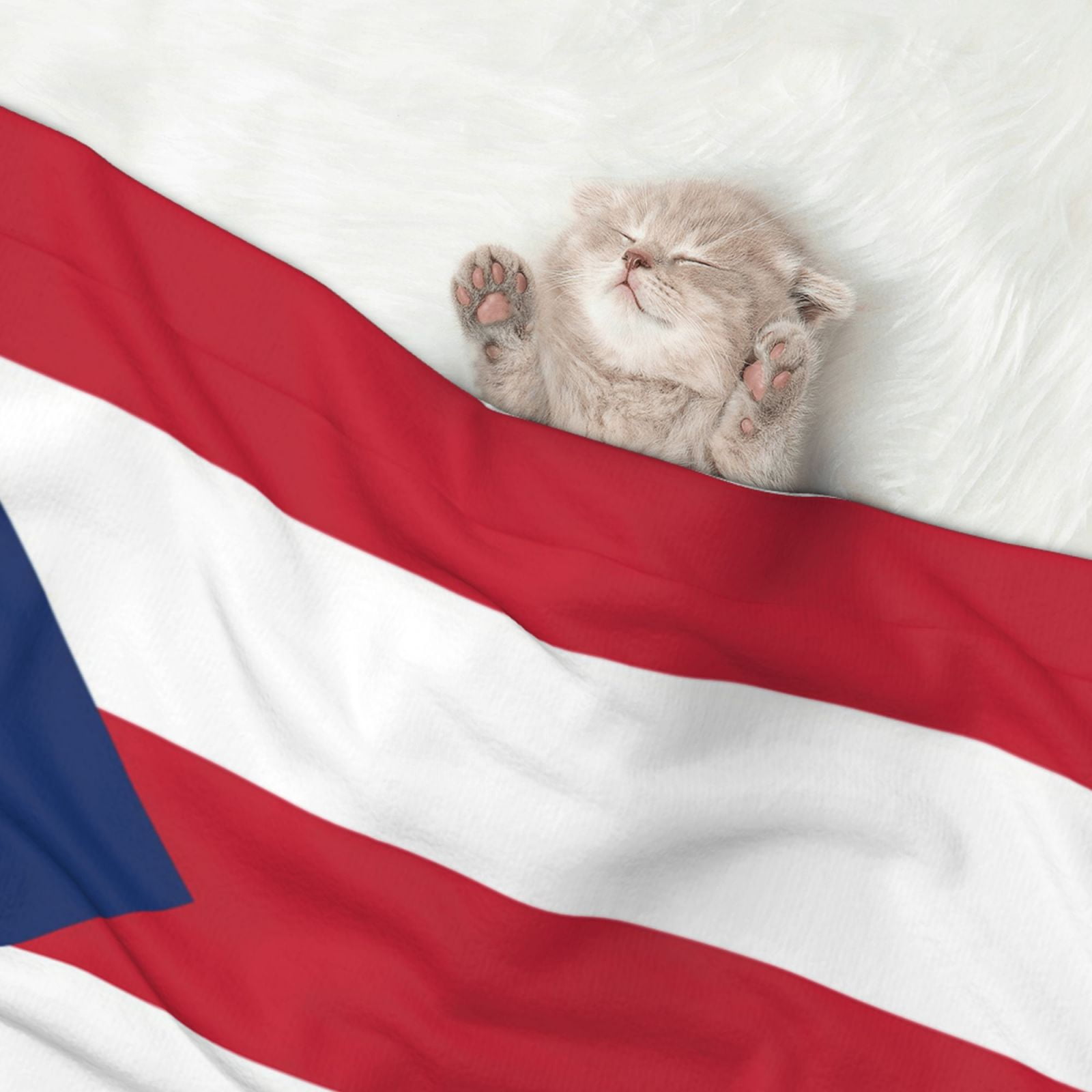 Flannel Throw Dog Blanket Puerto-Rico Flag Soft Warm Print Pet Blankets for Small Dog Cat Puppy
