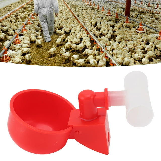 Tazón para beber para aves de corral Jadeshay juego de 10 bebederos para pollos