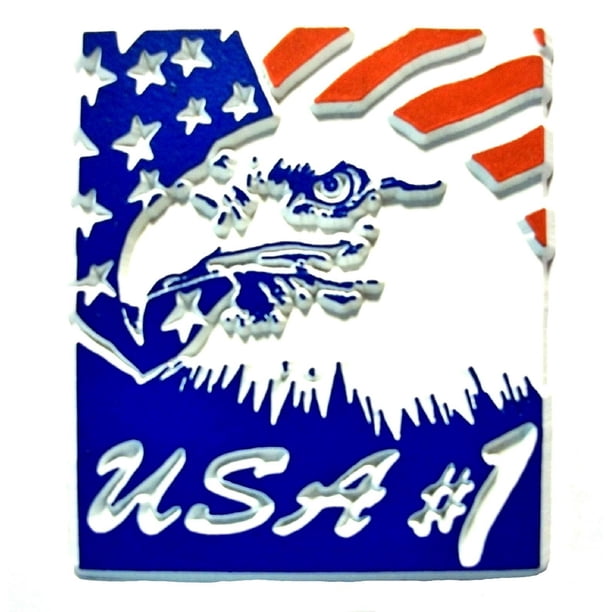 USA 1 Eagle Flag Fridge