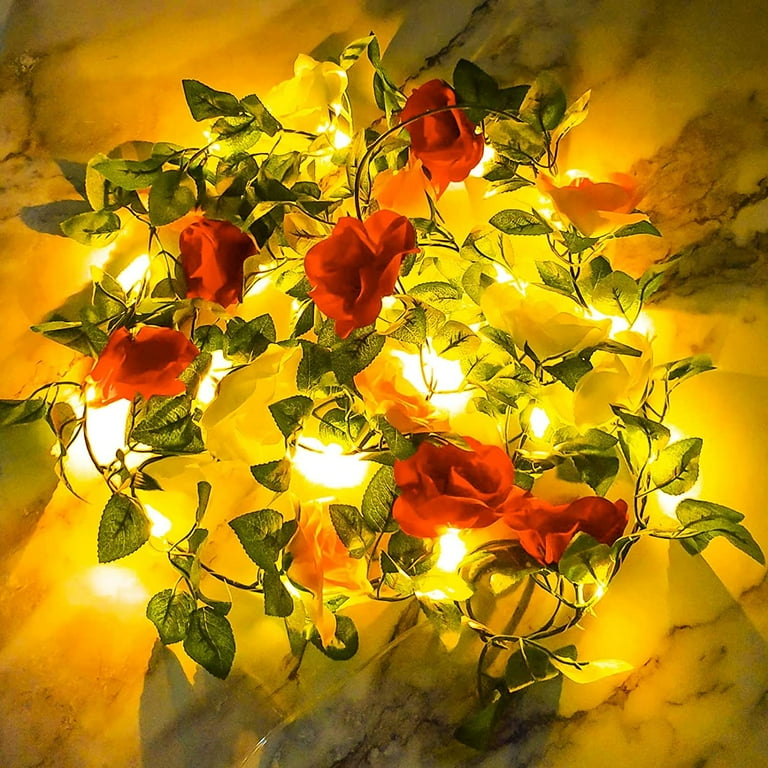 GHODEC 2 Pack Fairy Lights Plug in 78Ft 240 Led Christmas Lights with USB for Bedroom Party Wedding Festival Table Christmas Decoration Indoor Outdoor