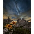 thumbnail image 2 of Ghizzi Panizza, Alberto 26x30 Black Ornate Wood Framed with Double Matting Museum Art Print Titled - Even The Flowers Seem To Be Fascinated By The Stars, 2 of 4
