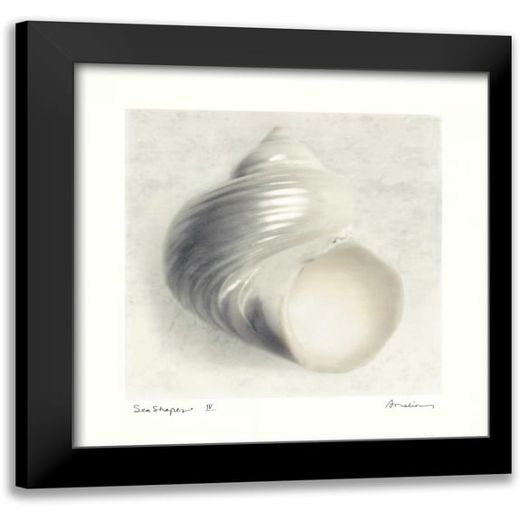 Melious, Amy 12x12 Black Modern Framed Museum Art Print Titled - Sea Shapes IV