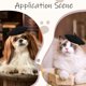 thumbnail image 4 of Boina para gato, gorro para perro, diadema de lana para mascota, cachorro, boina de artista francés, minigorros, sombrero para perro pequeño, decoración, disfraz, accesorio para el cabello, 4 of 5
