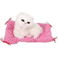thumbnail image 1 of Jinsinto 1Pcs Super Mignon Mini Simulation Chatons Assis Jouets en Peluche, 1 of 5