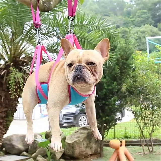 Hamaca para Perros Y , Soporte para , Hamaca funciones para El atención de Mascotas para Cortar Uñas , Rojo L Azul Rosa Rojo L