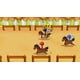 thumbnail image 3 of STORY OF SEASONS: Friends of Mineral Town - PlayStation 4 Sony PlayStation 4, 3 of 3