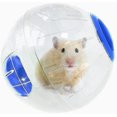 thumbnail image 1 of LLC Balle D\'entraînement Physique pour Hamster Petit Animal Bleu pour Course Exercice, 1 of 4