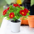 thumbnail image 4 of Ltdhehe Bonsai Desk Arrangement Home Centerpiece Wedding, 4 of 5