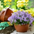 thumbnail image 2 of Nvzi 8 paquetes de flores de narcisos artificiales, plantas de plástico sintético resistentes a los rayos UV que no se decoloran (rosa), 2 of 5