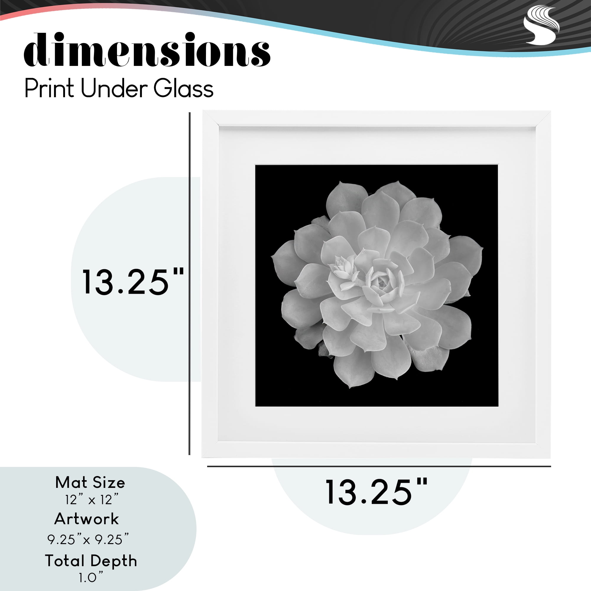 Pure White Succulent Contrast White Framed Print Under Glass, design by Phillip Flowers