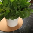thumbnail image 4 of 6 Pieces Cork Coaster Round Plant Coaster Absorbent Cork Soft Bar Cork Mat Table Cork rd for Kitchen Hot Pads, Pots, Pans, DIY Craft Supplies (8 Inch), 4 of 7