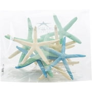 Starfish 10 Pack White Blue and Green Finger Starfish 4-6 Home Decor Art & Crafts
