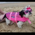 thumbnail image 4 of Gafas para perros, gafas de sol para mascotas, gafas plegables para perros, gafas de sol con protección UV (rosa, L), 4 of 5