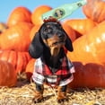 thumbnail image 3 of Adjustable Pet Dog Hat for Special Events - Realistic Funny Decoration with Secure Rope Design, 3 of 5