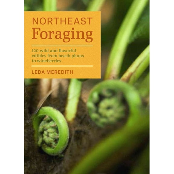 Pre-Owned Northeast Foraging: 120 Wild and Flavorful Edibles from Beach Plums to Wineberries (Regional Foraging) Paperback