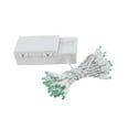 thumbnail image 3 of Novelty Lights 50 Light LED Battery Operated Christmas Mini Light Set, Green, White Wire, 18' Long, 3 of 6
