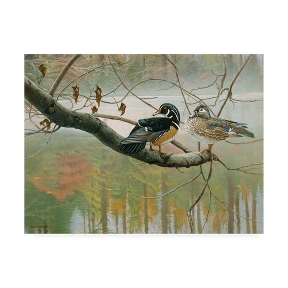Trademark Fine Art 'Colors Of Autumn Duck' Canvas Art by Michael Budden