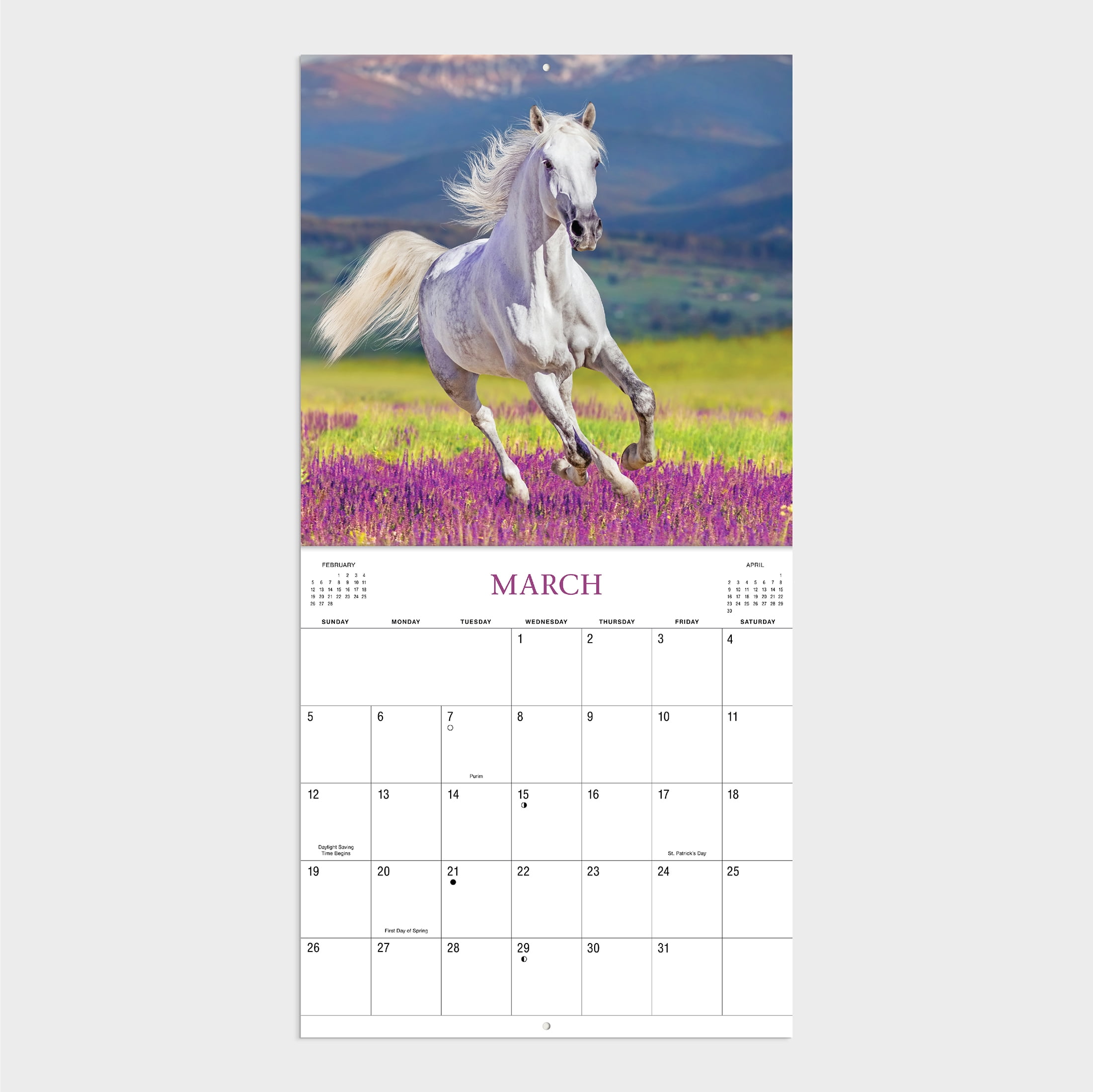 2023-12 Month Calendar-Horses 12x12 Hanging Wall Calendar by DaySpring