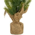 thumbnail image 5 of Northlight Mini Christmas Pine Artificial Christmas Trees with Burlap Base - 18" - Set of 3, 5 of 5