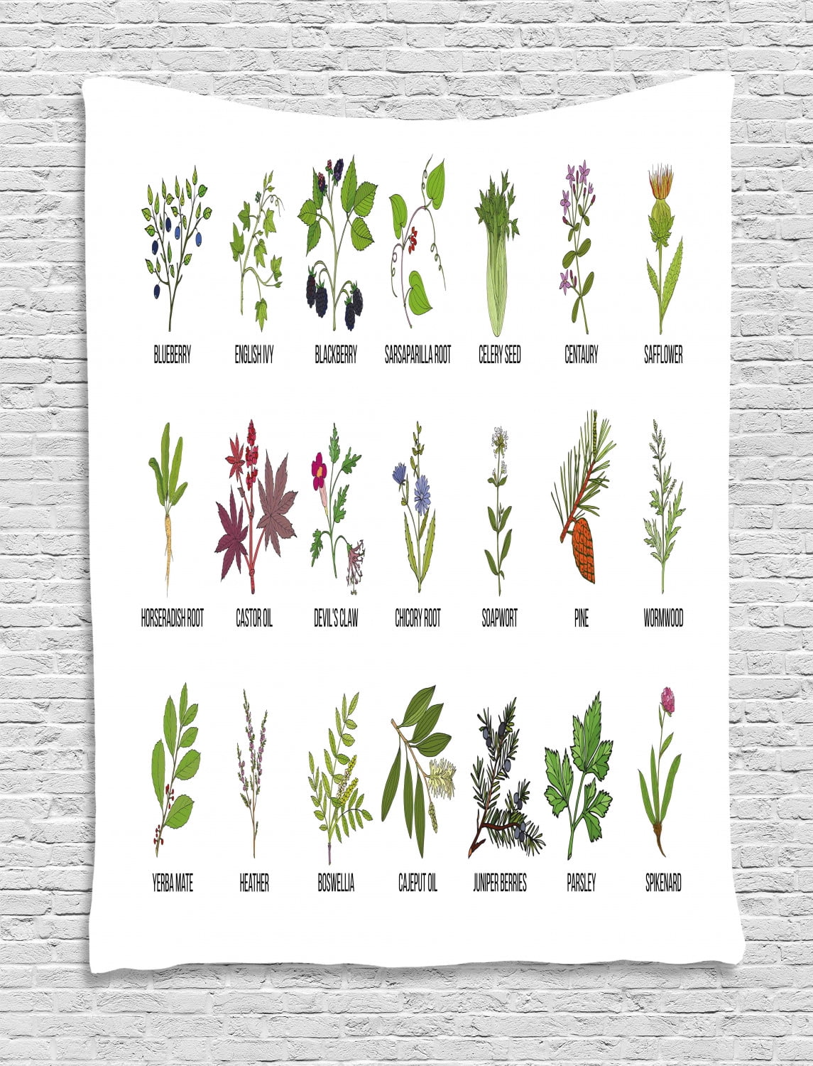 Herb Tapestry, Natural Treatment Infographic Scheme with Healthy Plants