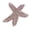 B, variant on Wedding Sequins Starfishes Evening Dresses Appliques Women Clothing Patches for Customizing Clothes and Accessories