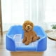 thumbnail image 5 of Bandeja para ir al baño para perros: mantiene las patas y el suelo limpios y es fácil de limpiar. Entrenamiento de mascotas. L azul, 5 of 7