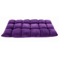 thumbnail image 4 of Clam - Chaise de jeu pliante et réglable en peluche, 4 of 4