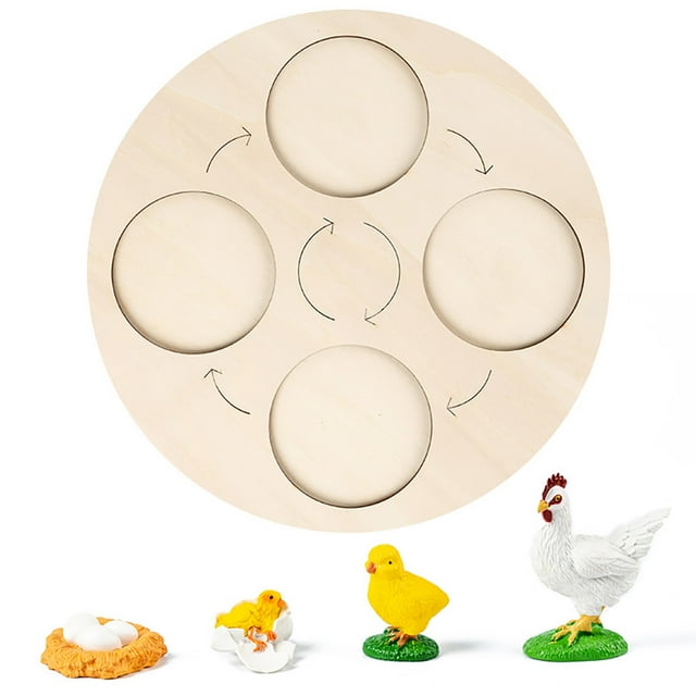 ZheElen Simulation Insect Animal Growth Kindergarten Model Educational Teaching Learning Imagination Cognition Toys Children Type 3