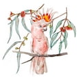 thumbnail image 2 of Wang, Melissa 20x20 Gold Ornate Wood Framed with Double Matting Museum Art Print Titled - Pink Cockatoo II, 2 of 4