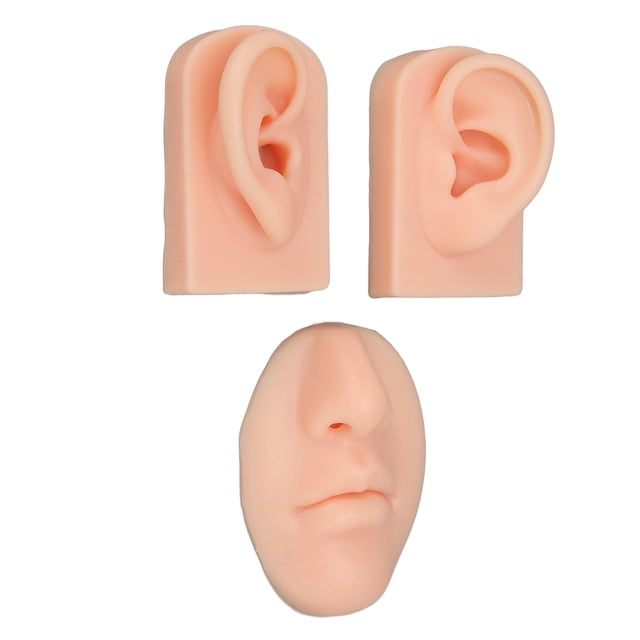 Practice Model, Display Nose Model Safe Portable For Salon For Doctor Light Skin Color,Medium Skin Color,Dark Skin Color